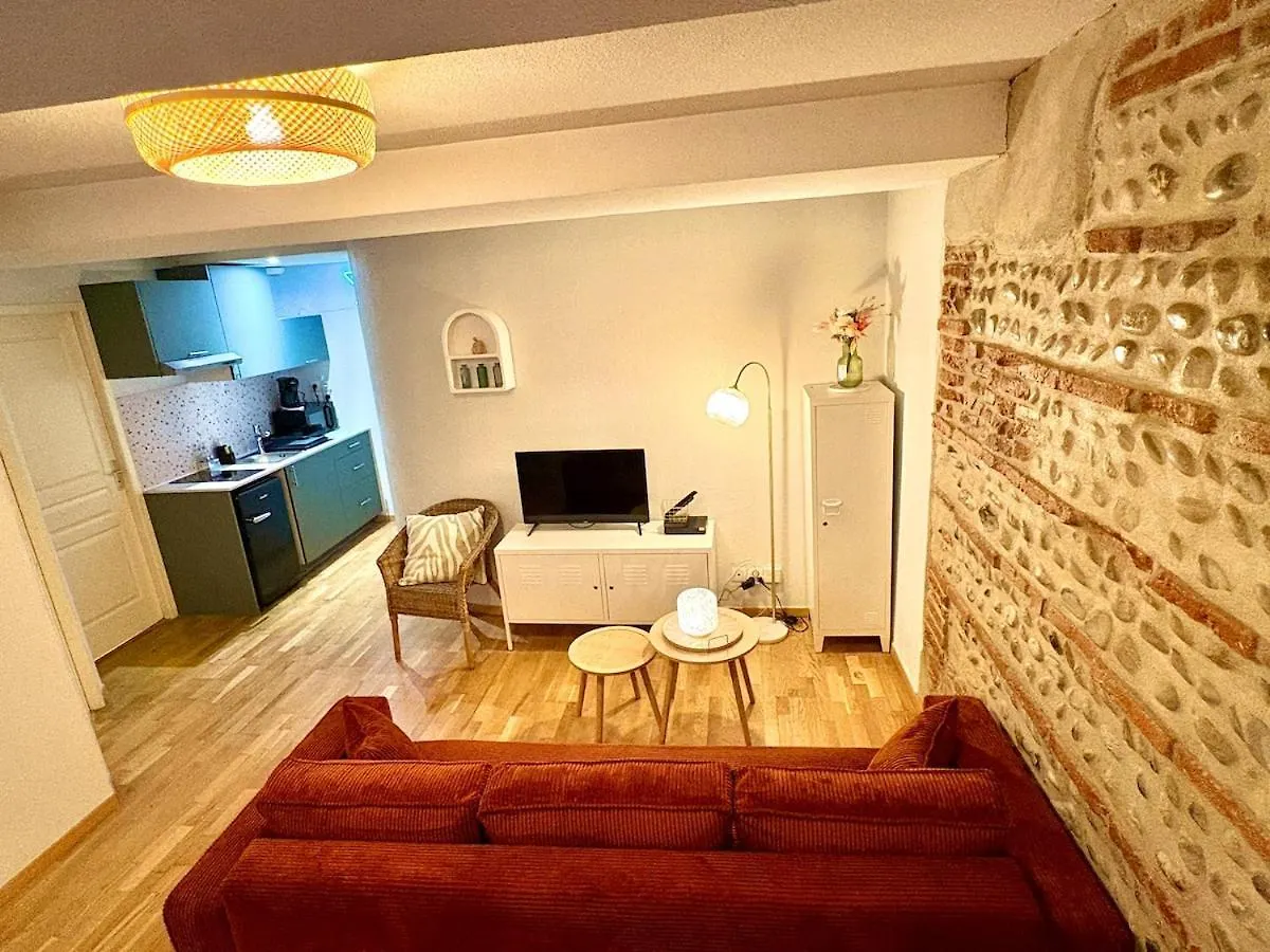 Toulouse Apartment Hypercenter