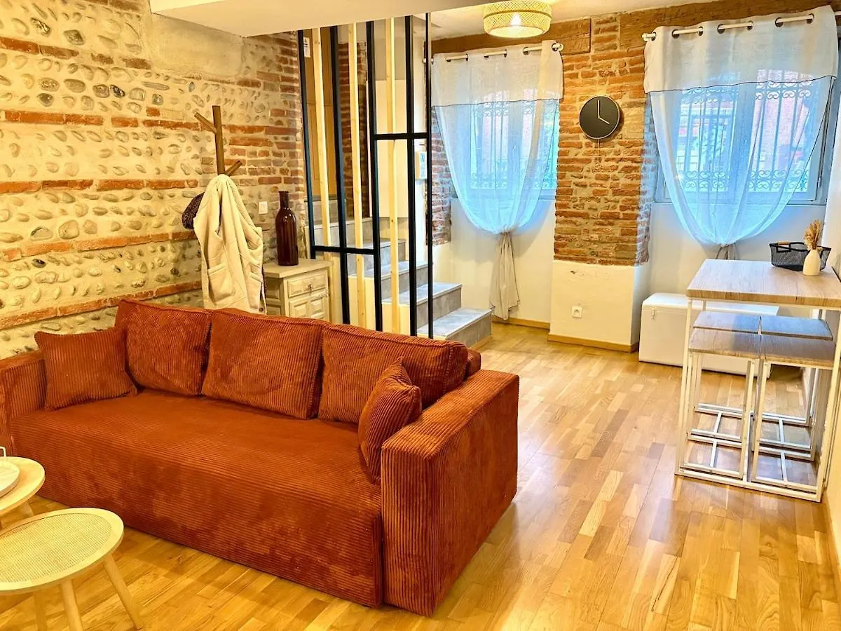 Toulouse Apartment Hypercenter